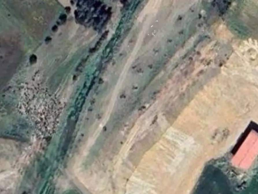 Immagine 1 di Terreno agricolo in vendita  in Località Sestu a Sestu