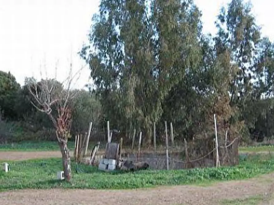 Immagine 2 di Terreno agricolo in vendita  in Loc. “Campu Briaxiu”  a Pula