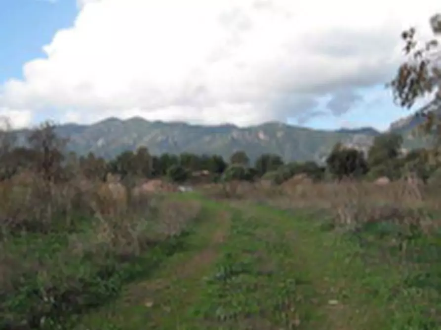 Immagine 1 di Terreno agricolo in vendita  in Loc. “Campu Briaxiu”  a Pula