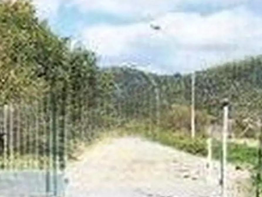 Immagine 1 di Terreno agricolo in vendita  in Località Sarroch a Sarroch