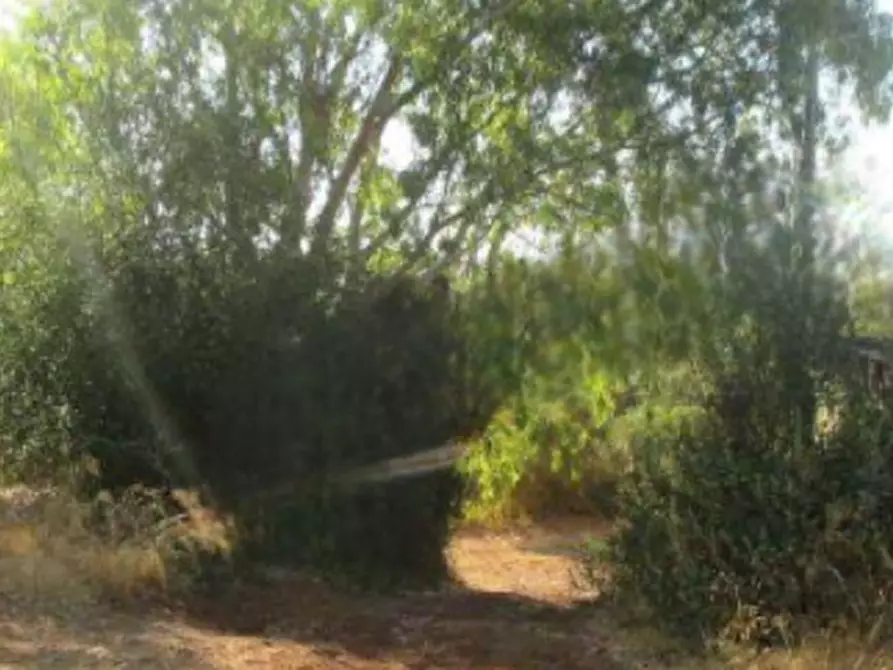 Immagine 1 di Terreno agricolo in vendita  in località Iglesias a Iglesias
