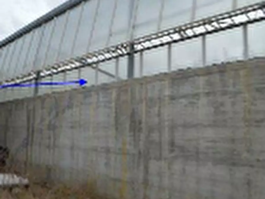Immagine 3 di Terreno agricolo in vendita  in  località “More Corraxe