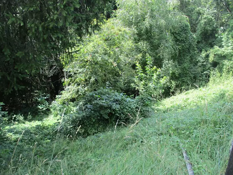 Immagine 3 di Villa in vendita  in Via San Fermo a Grone