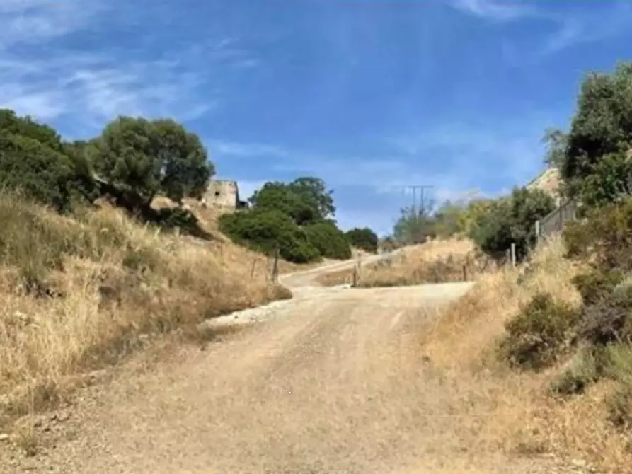 Immagine 1 di Terreno agricolo in vendita  in località Dolianova  a Dolianova