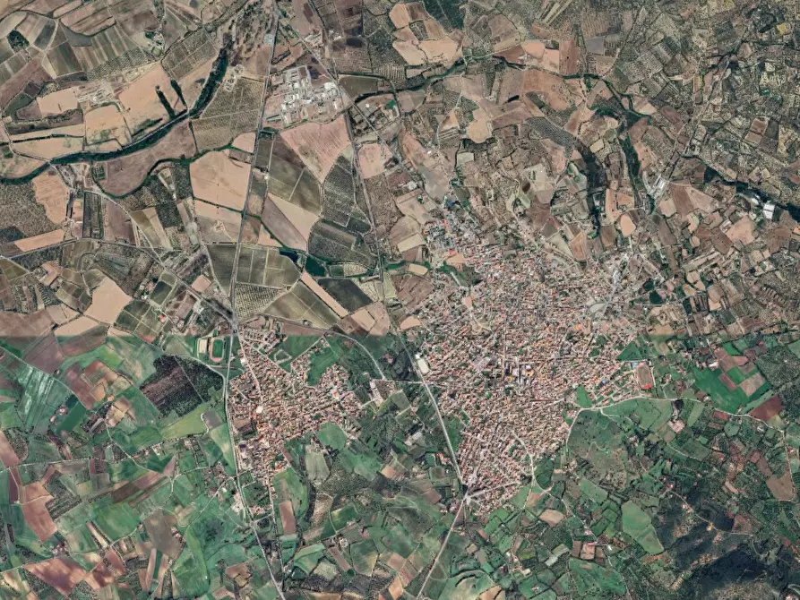 Immagine 7 di Terreno agricolo in vendita  in località Dolianova  a Dolianova