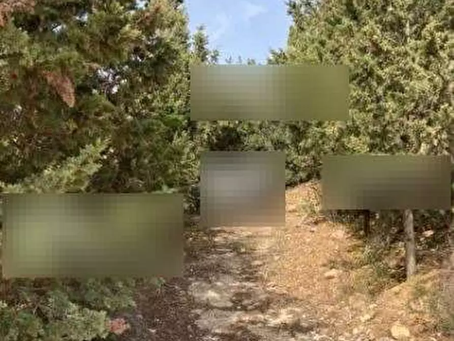 Immagine 3 di Casa indipendente in vendita  in Via G. E. Spicer a Sinnai