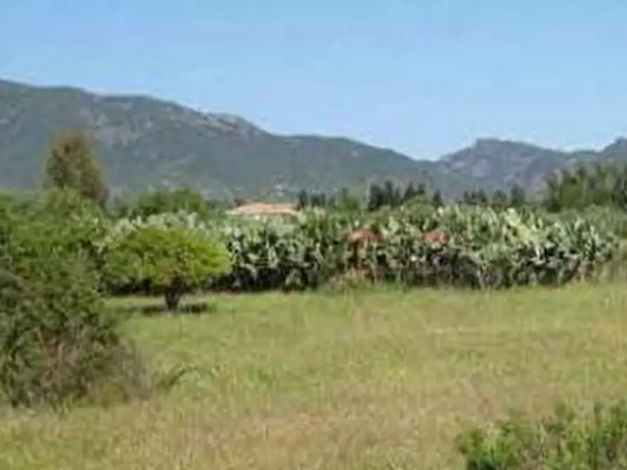 Immagine 3 di Terreno agricolo in vendita  in Località Su Parargiu a Villa San Pietro