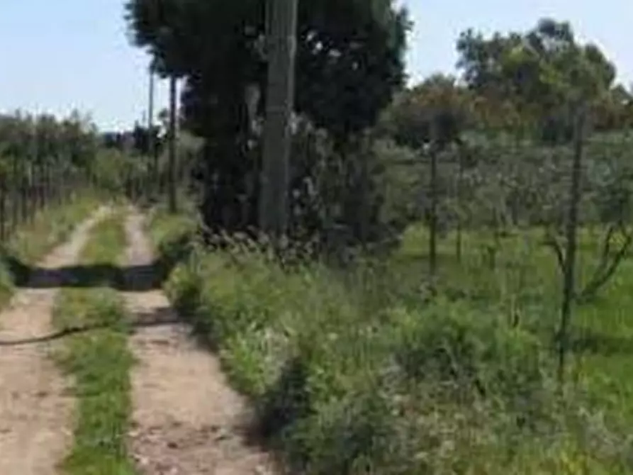 Immagine 1 di Terreno agricolo in vendita  in Località Su Parargiu a Villa San Pietro
