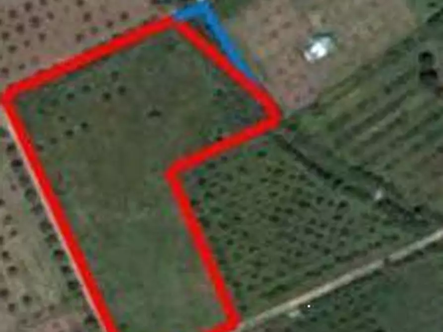 Immagine 2 di Terreno agricolo in vendita  in Località Su Parargiu a Villa San Pietro
