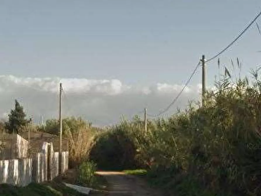 Immagine 11 di Stabile in vendita  in Via Case Sparse a Cabras