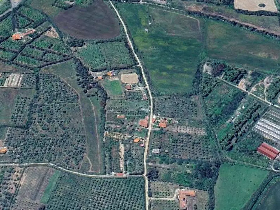 Immagine 12 di Stabile in vendita  in Via Case Sparse a Cabras