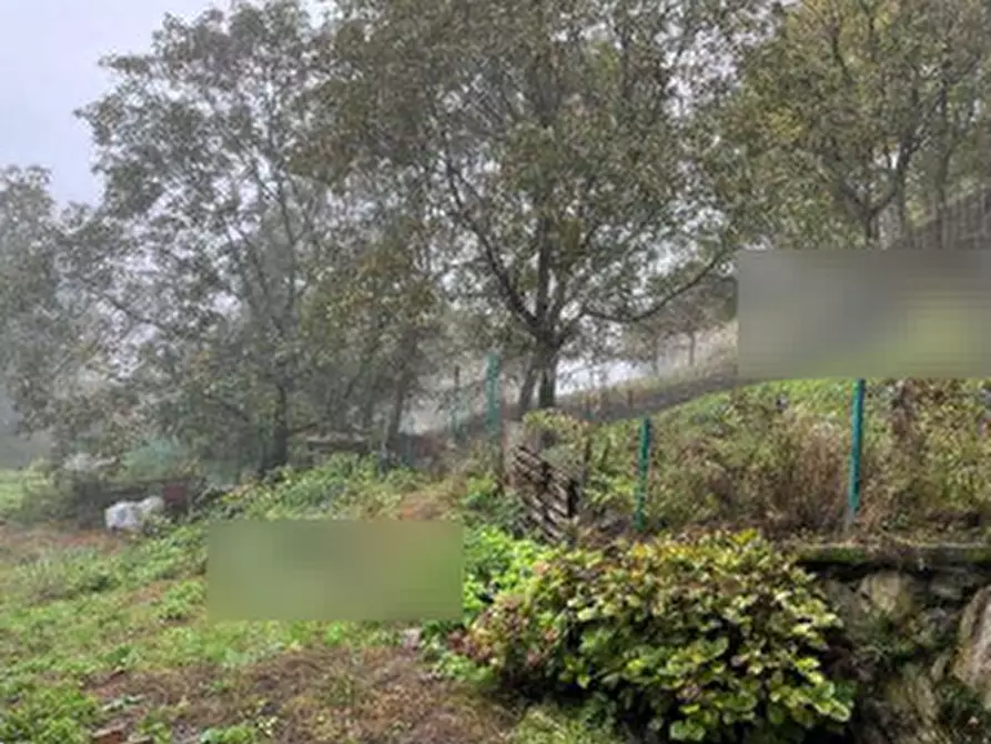 Immagine 3 di Terreno agricolo in vendita  in Via Comignane a Pian Camuno