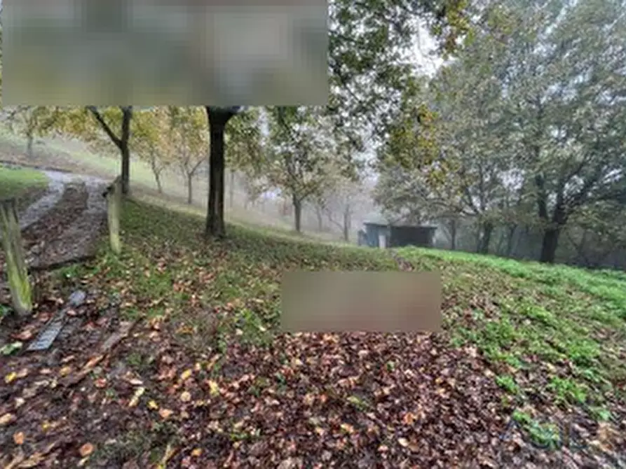 Immagine 4 di Terreno agricolo in vendita  in Via Comignane a Pian Camuno