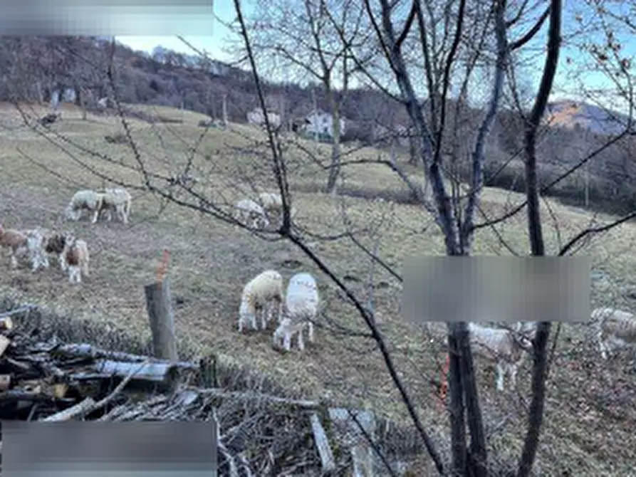 Immagine 5 di Terreno agricolo in vendita  in Via Comignane a Pian Camuno