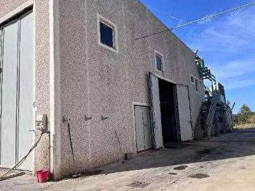 Immagine 4 di Terreno edificabile in vendita  in loc. Simaxis  a Simaxis