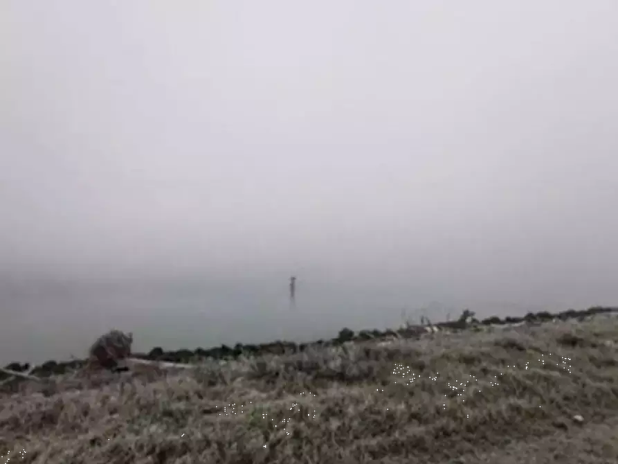 Immagine 1 di Terreno agricolo in vendita  in Isola della Donzella a Porto Tolle