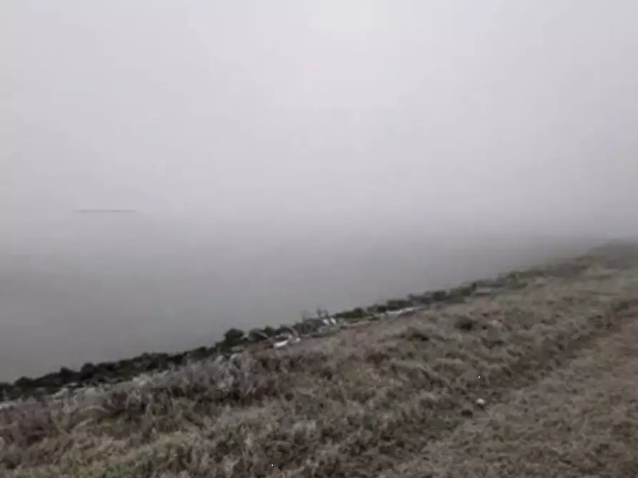 Immagine 2 di Terreno agricolo in vendita  in Isola della Donzella a Porto Tolle