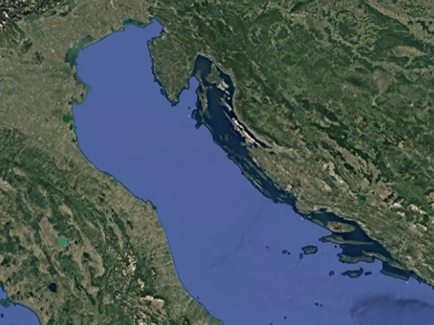 Immagine 3 di Terreno agricolo in vendita  in Isola della Donzella a Porto Tolle