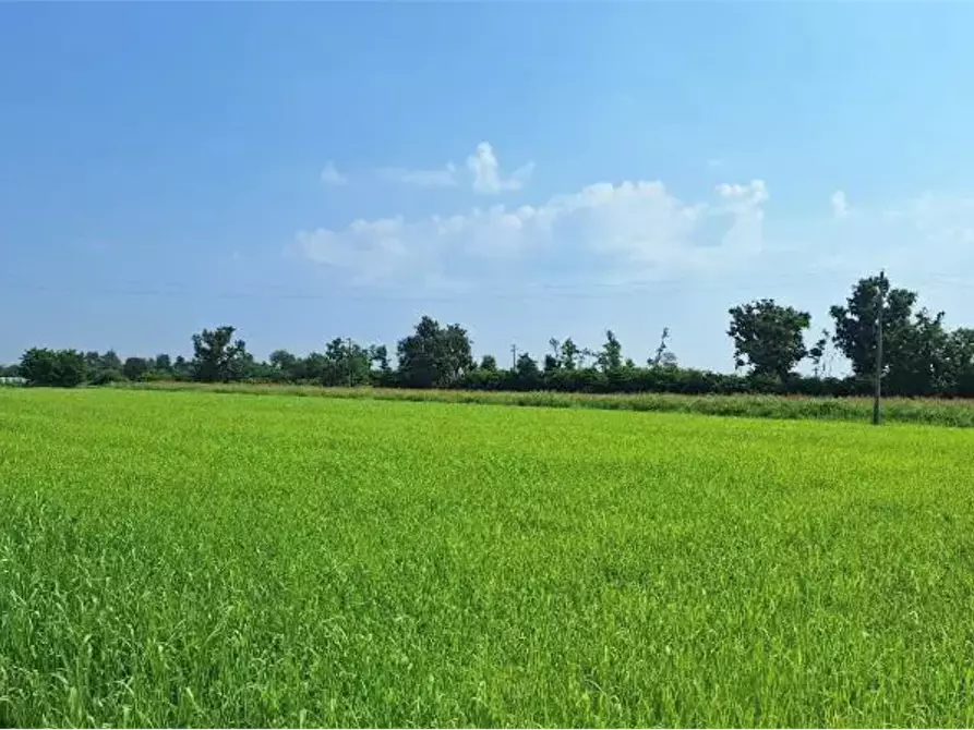 Immagine 1 di Terreno agricolo in vendita  in Località Ozzero a Ozzero