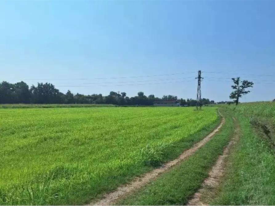 Immagine 2 di Terreno agricolo in vendita  in Località Ozzero a Ozzero
