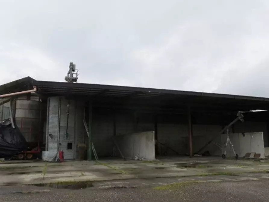 Immagine 11 di Villa in vendita  in Via Venticinque Aprile a Ozzero