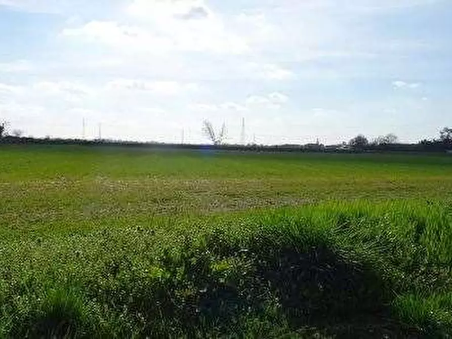 Immagine 2 di Terreno agricolo in vendita  in Via Gambolina a Vigevano