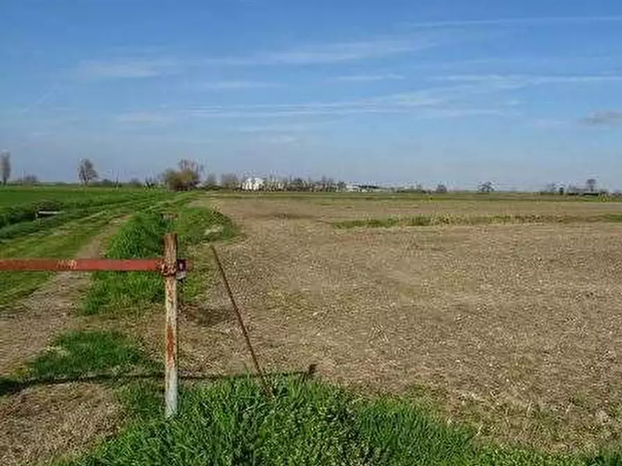 Immagine 3 di Terreno agricolo in vendita  in Via Gambolina a Vigevano