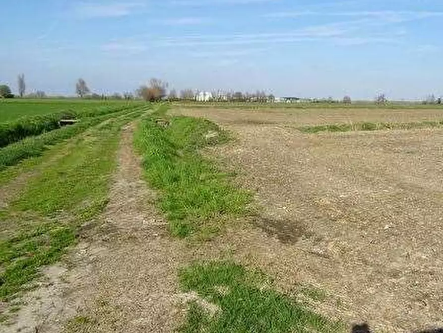 Immagine 4 di Terreno agricolo in vendita  in Via Gambolina a Vigevano