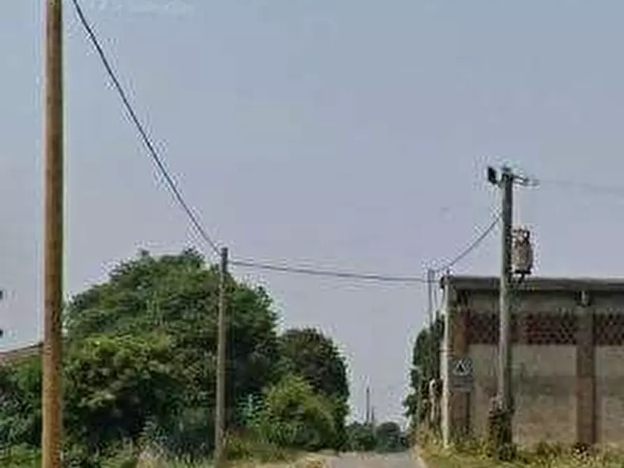 Immagine 5 di Terreno agricolo in vendita  in Via Gambolina a Vigevano