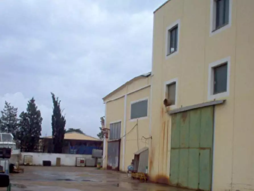 Immagine 8 di Capannone industriale in vendita  in VIA CETTOLINI a Elmas