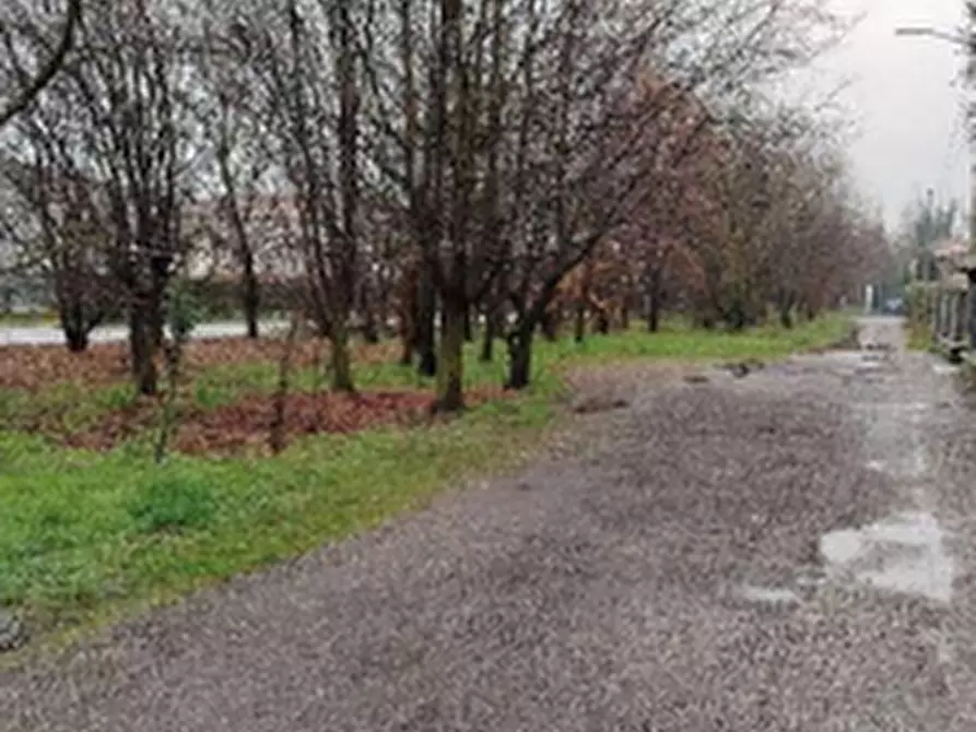 Immagine 3 di Terreno agricolo in vendita  in Via Verghera incrocio a Gallarate