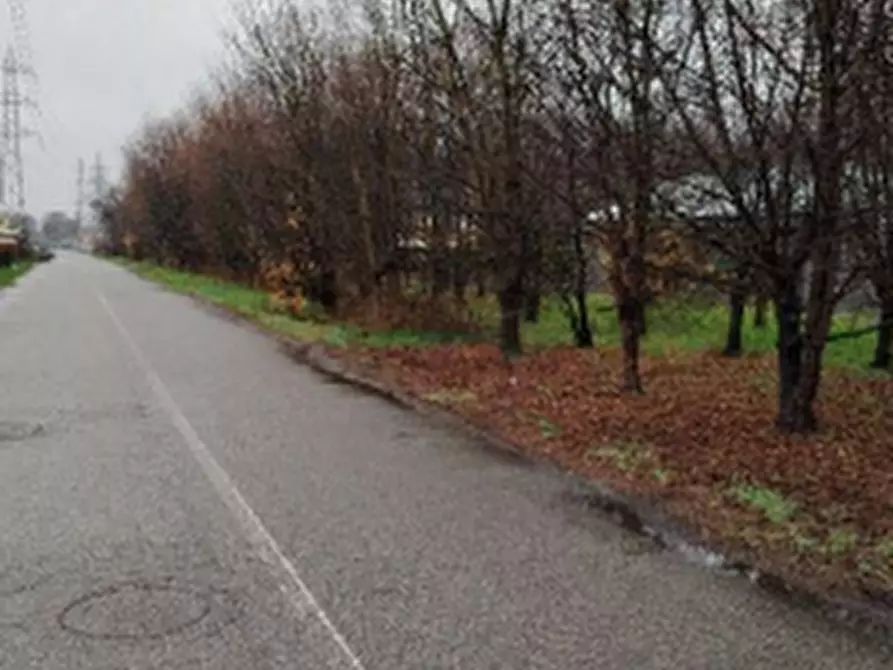 Immagine 4 di Terreno agricolo in vendita  in Via Verghera incrocio a Gallarate