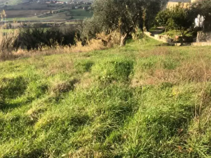 Immagine 3 di Terreno edificabile in vendita  in Via San Savino Granarola a Gradara