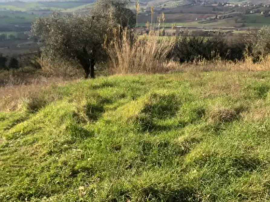 Immagine 6 di Terreno edificabile in vendita  in Via San Savino Granarola a Gradara