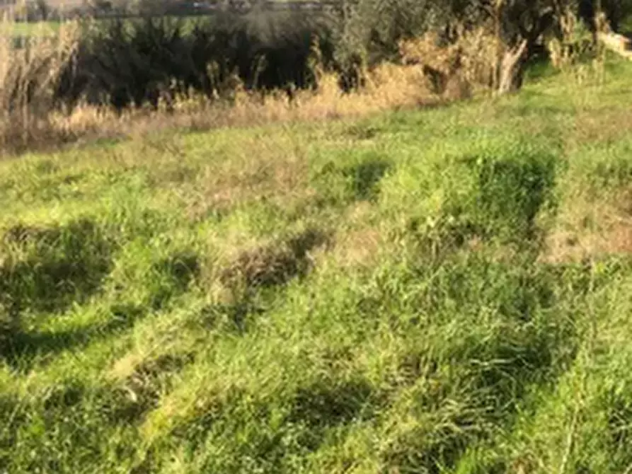 Immagine 8 di Terreno edificabile in vendita  in Via San Savino Granarola a Gradara