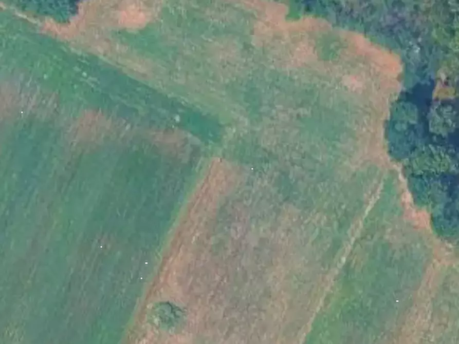 Immagine 2 di Terreno agricolo in vendita  in Località Barbania a Barbania