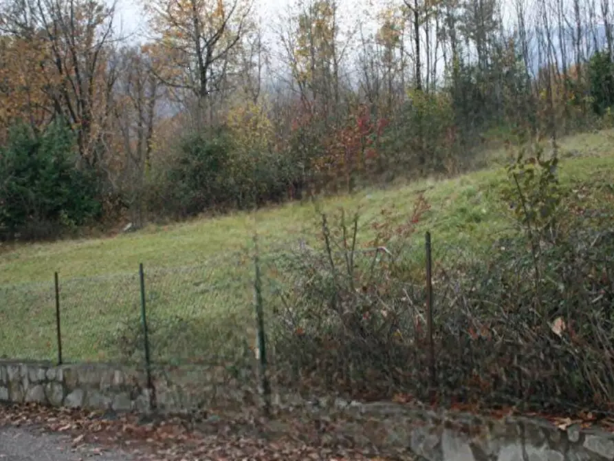 Immagine 1 di Terreno agricolo in vendita  in Frazione Rino a Sonico