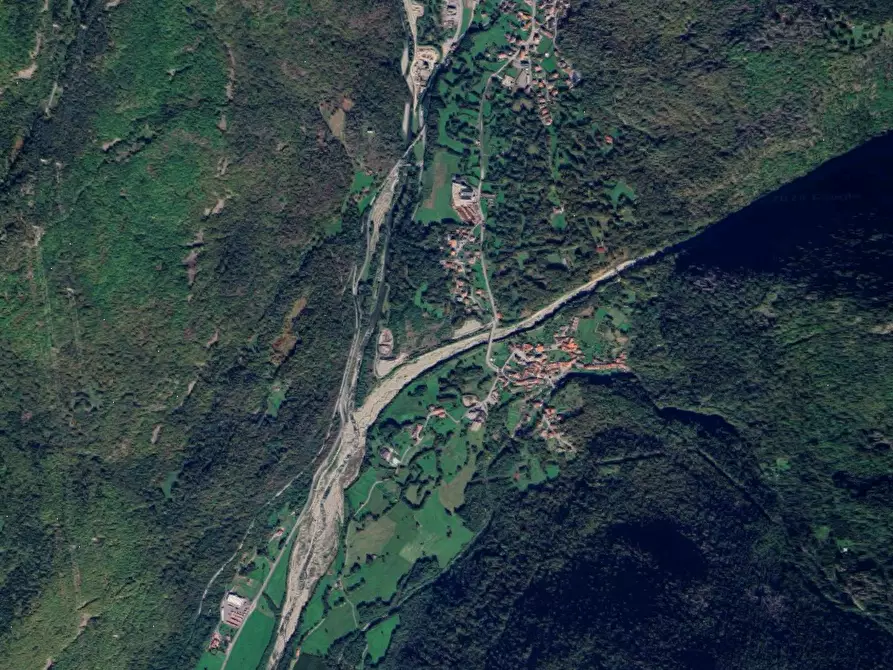 Immagine 5 di Terreno agricolo in vendita  in Frazione Rino a Sonico