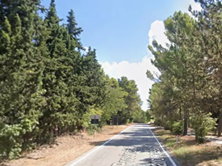 Immagine 7 di Porzione di villa in vendita  in Via Mombaroccio a Cartoceto