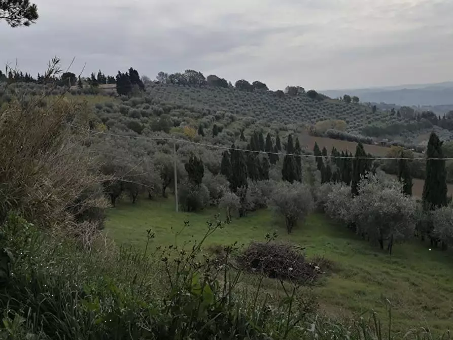 Immagine 4 di Porzione di villa in vendita  in Via Mombaroccio a Cartoceto