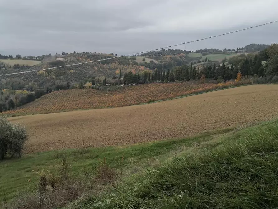 Immagine 5 di Porzione di villa in vendita  in Via Mombaroccio a Cartoceto