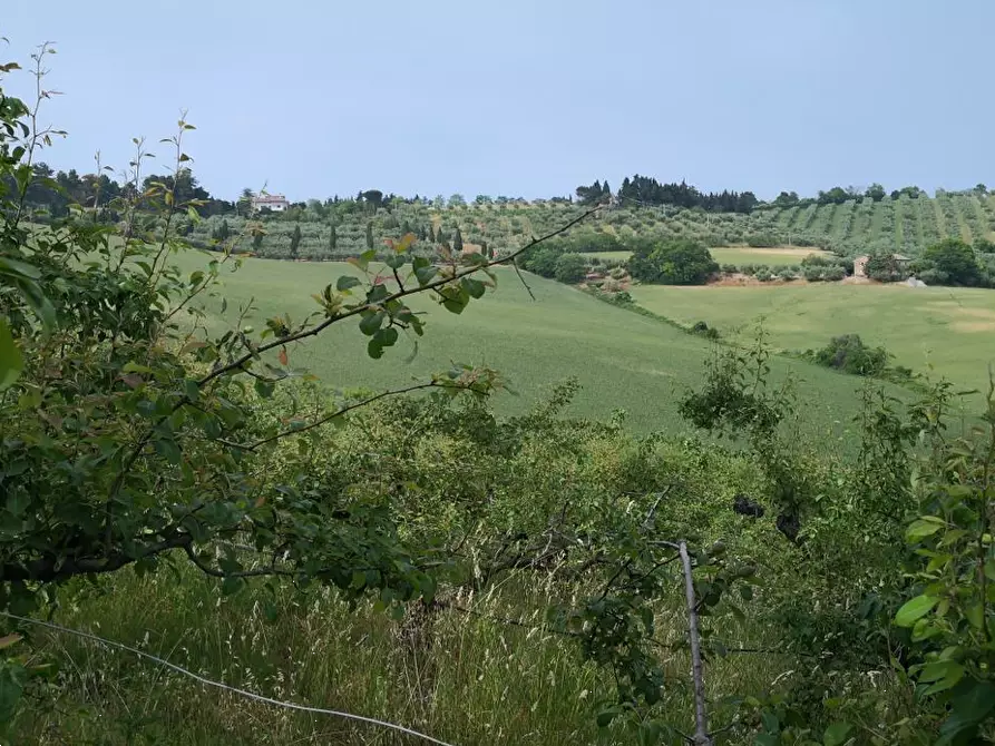 Immagine 6 di Porzione di villa in vendita  in Via Mombaroccio a Cartoceto