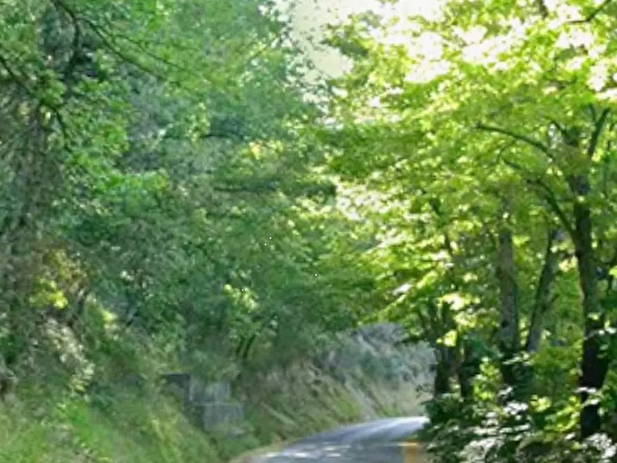 Immagine 9 di Appartamento in vendita  in Via XXIV Maggio a Urbania