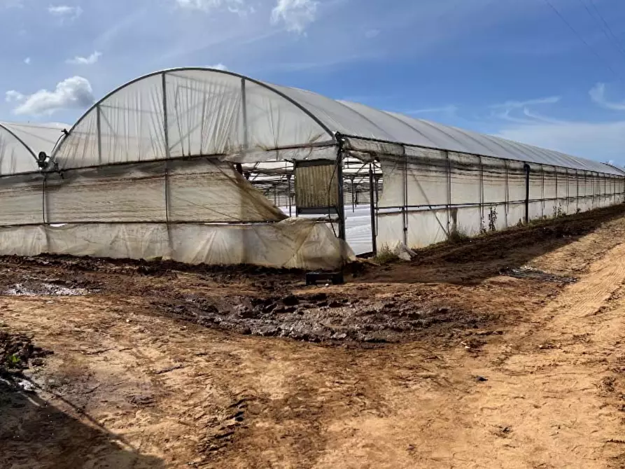 Immagine 1 di Terreno agricolo in vendita  in Via di Cavallo Morto a Anzio