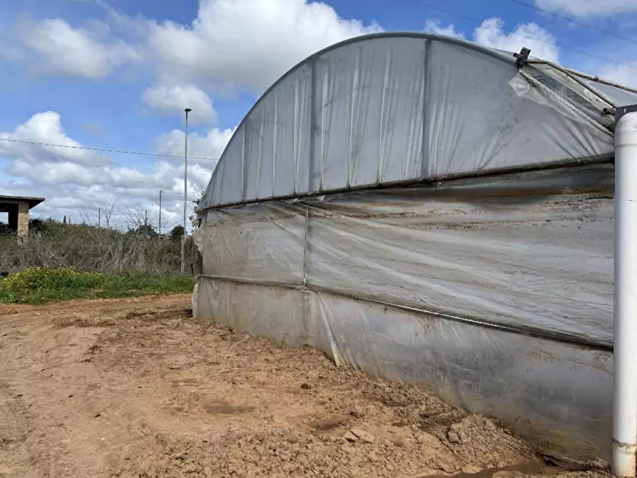 Immagine 9 di Terreno agricolo in vendita  in Via di Cavallo Morto a Anzio