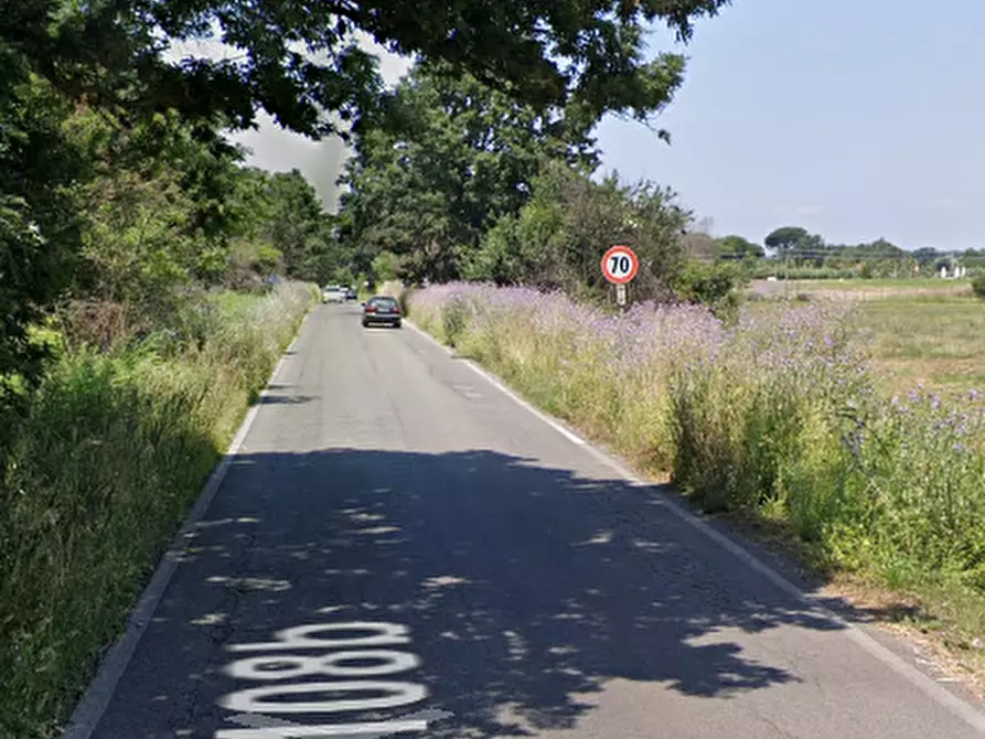 Immagine 12 di Terreno agricolo in vendita  in Via di Cavallo Morto a Anzio