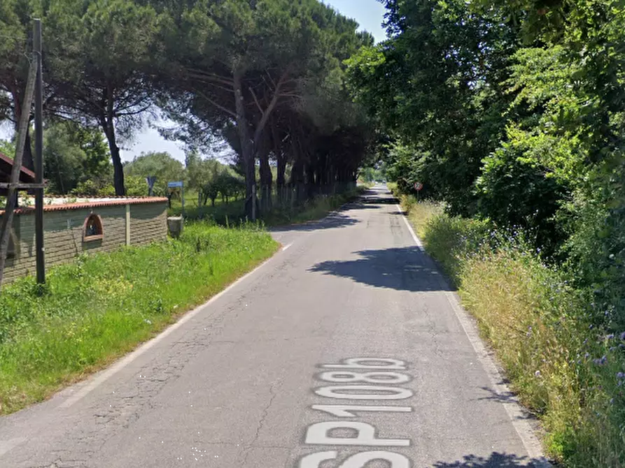 Immagine 13 di Terreno agricolo in vendita  in Via di Cavallo Morto a Anzio
