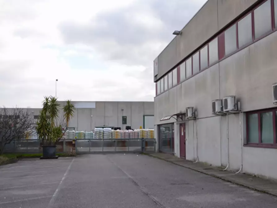 Immagine 3 di Capannone industriale in vendita  in Via Stiria a Udine