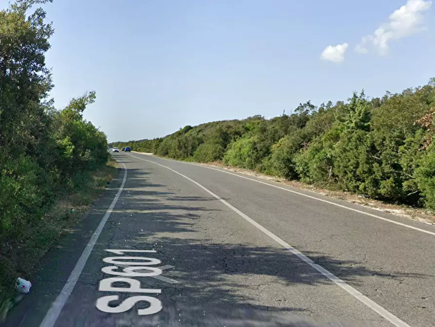 Immagine 5 di Negozio in vendita  in Via Litoranea  a Ardea