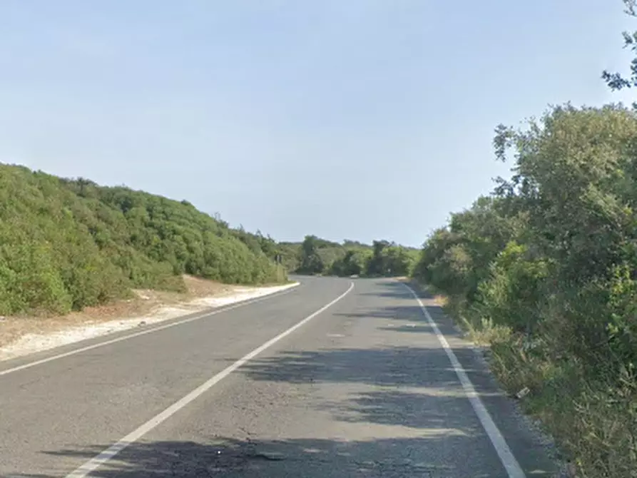 Immagine 6 di Negozio in vendita  in Via Litoranea  a Ardea